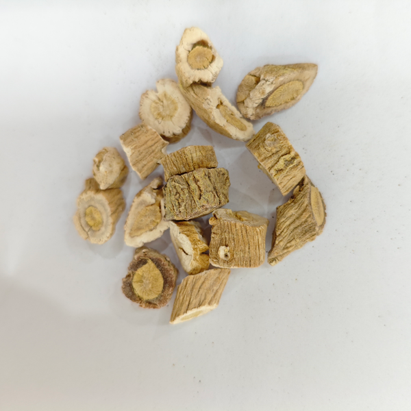 الجذر الإيزاتيديس