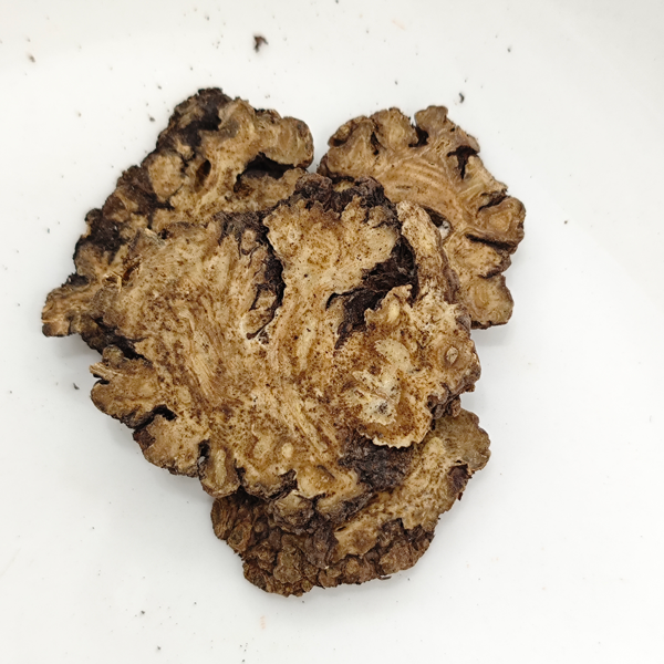 ليجوستيكوم تشوانشيونج هورت