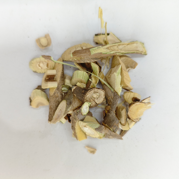 الأكانثوباناكس سنتيكوسوس