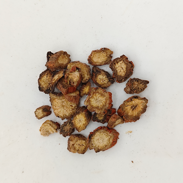 سالفيا ميلتيورهيزا