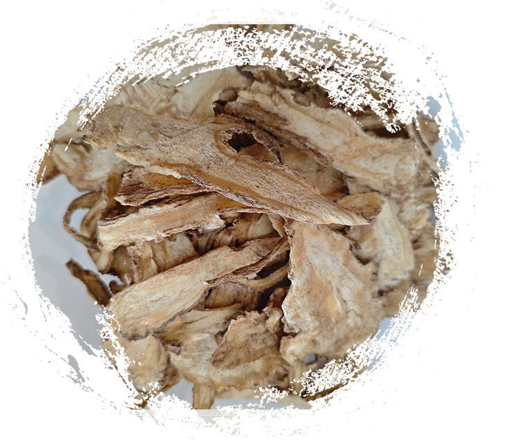 ما الذي يجعل نباتات الطب الصيني التقليدي العشبية قويةً جدًا؟ شرح الميزات