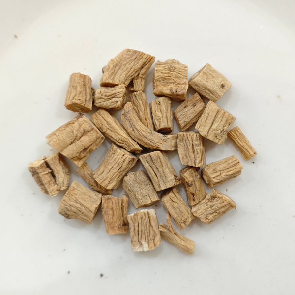 كودونوبسيس بيلوسولا