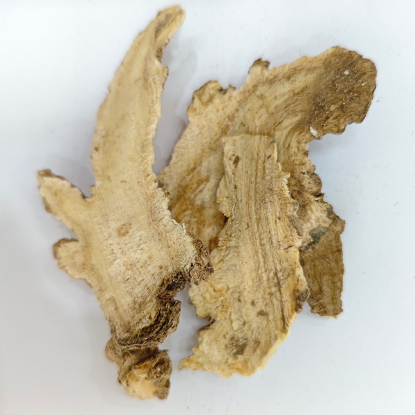 أنجليكا بوبيسنس