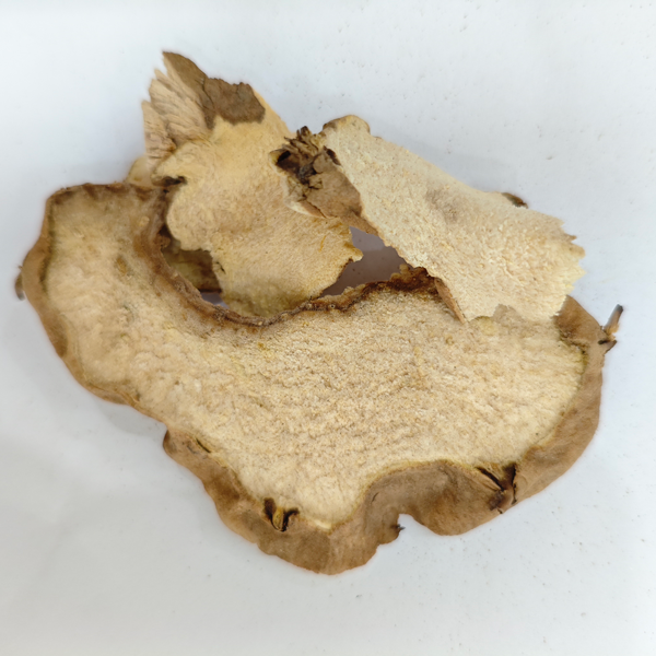 بذور الخروع