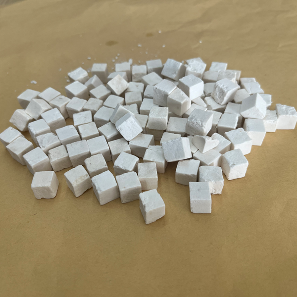 Wolfiporia extensa (فطريات تسوس الخشب)