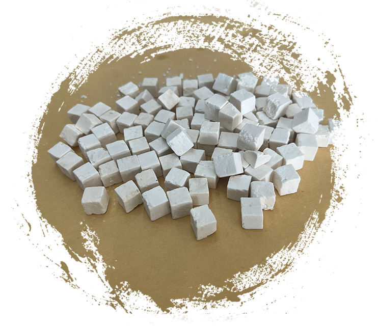 Wolfiporia extensa (فطريات تسوس الخشب)