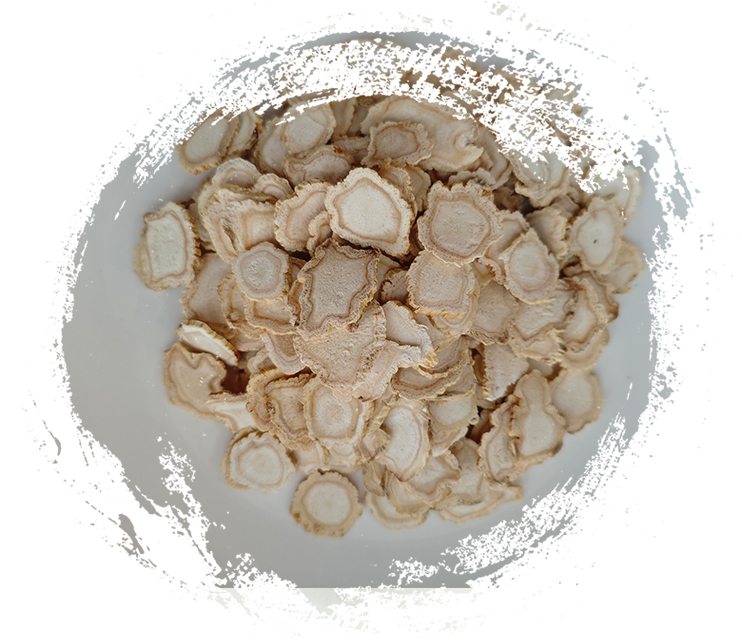 الجنسنغ باناكس