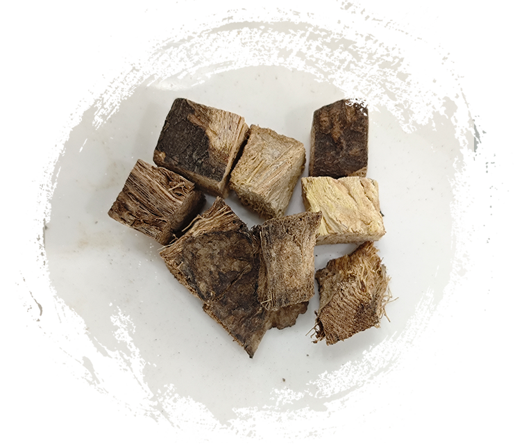 بويراريا لوباتا