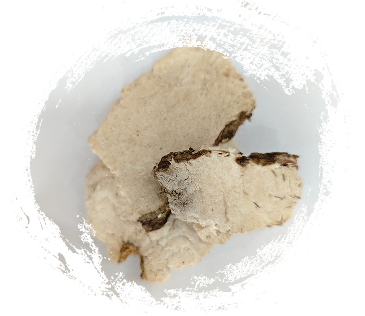 بوريا كوكوس