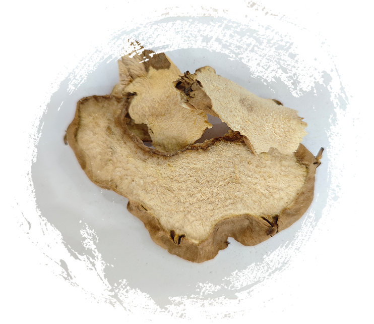 بذور الخروع