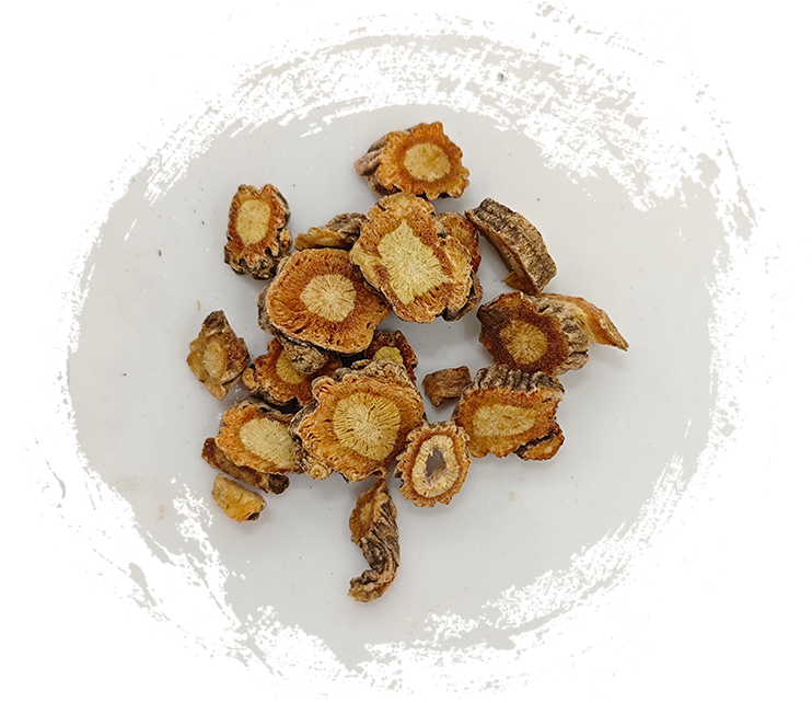 سابوشنيكوفا ديفاريكاتا