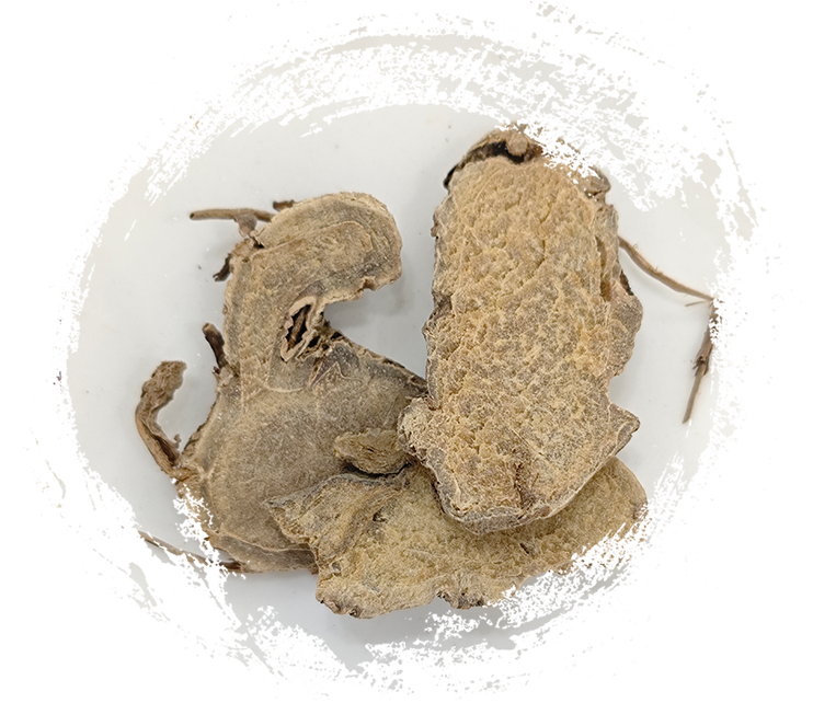 الكركم الزنجاري