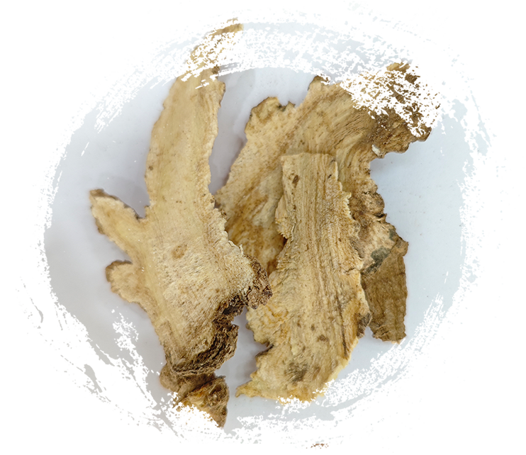 أنجليكا بوبيسنس