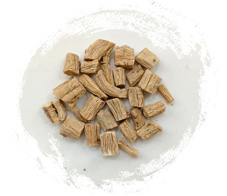 كودونوبسيس بيلوسولا