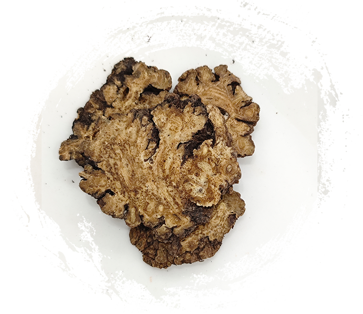 ليجوستيكوم تشوانشيونج هورت