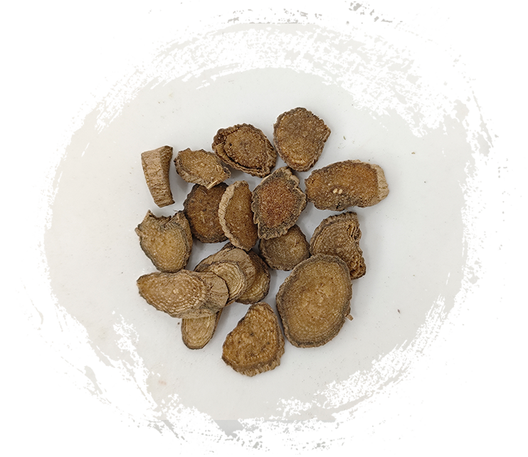 تشوان أكيرانثيس