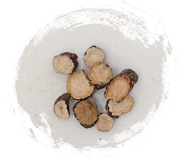 الفاوانيا الحمراء