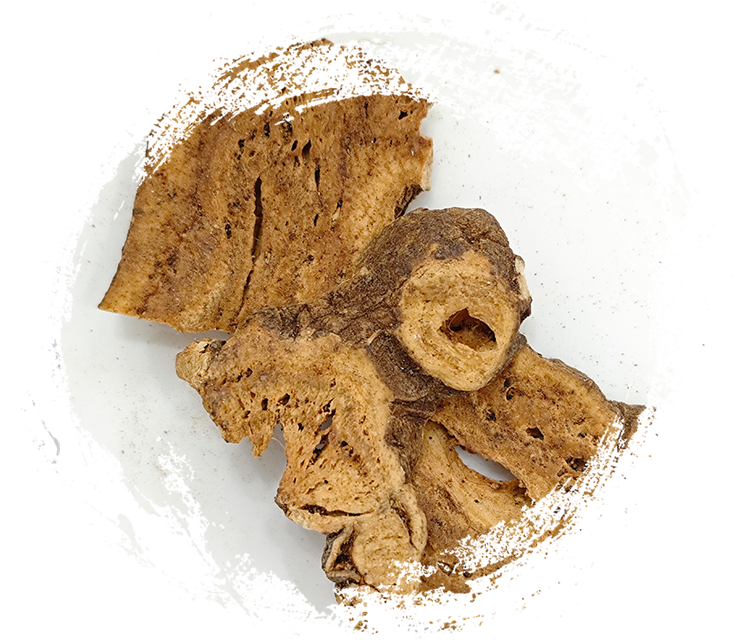 أتراكتيلوديس ماكروسيفالا المحمصة