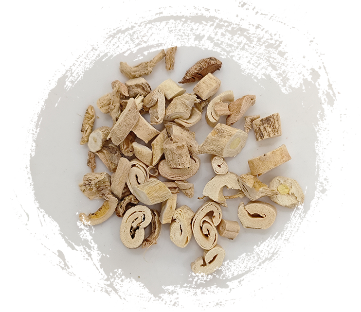 نصوص القشرة