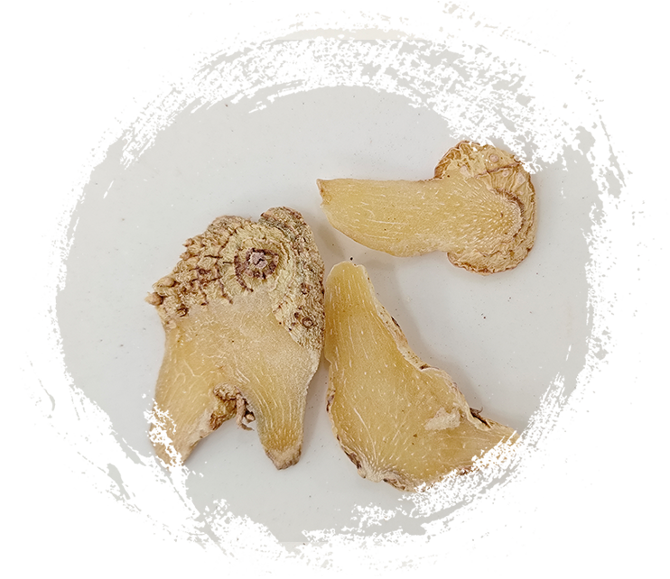 بليتيلا سترياتا