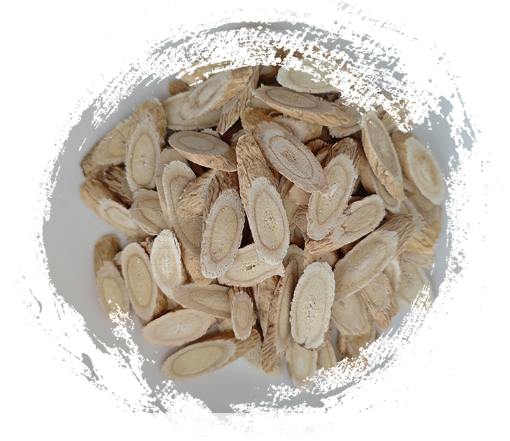 غشاء Astragalus (يستخدم في TCM)