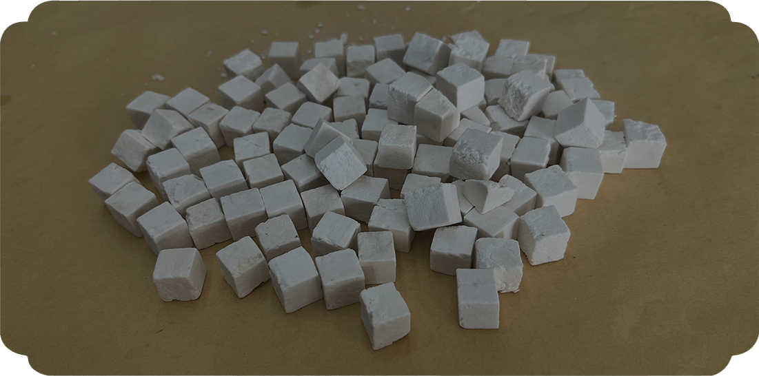 Wolfiporia extensa (فطريات تسوس الخشب)