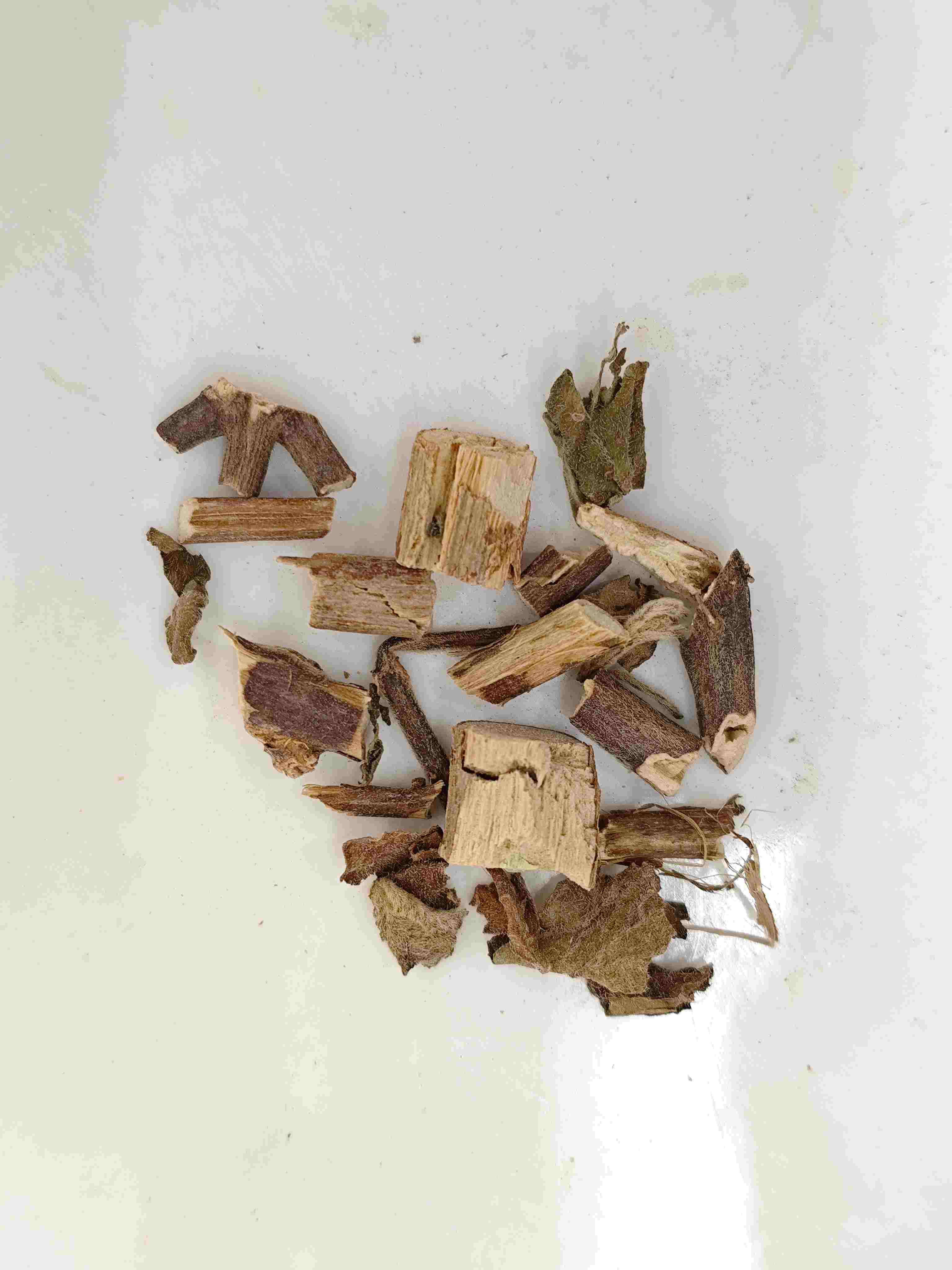 التجديف المتسول