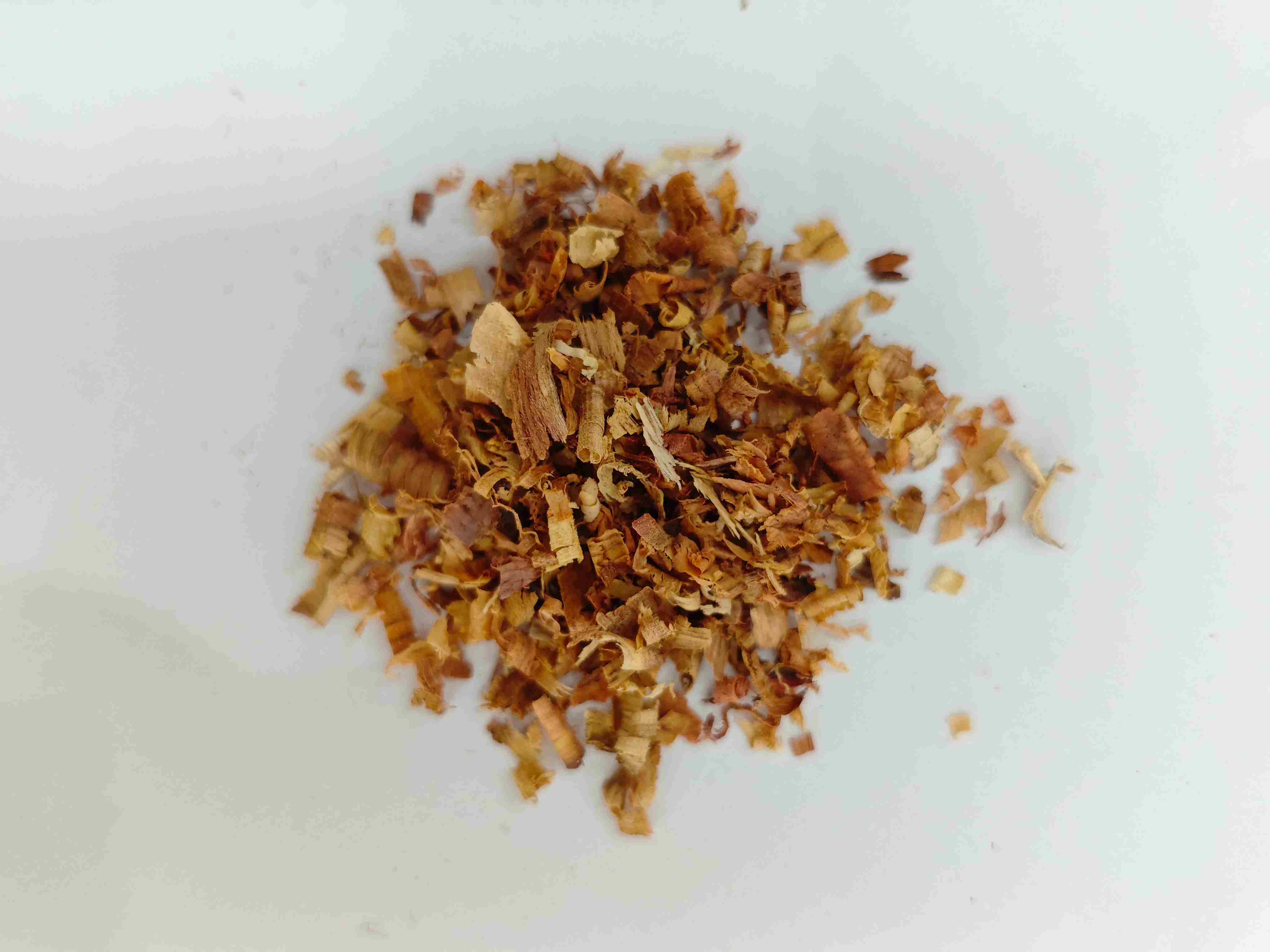 Aquilaria ، Jiangxiang