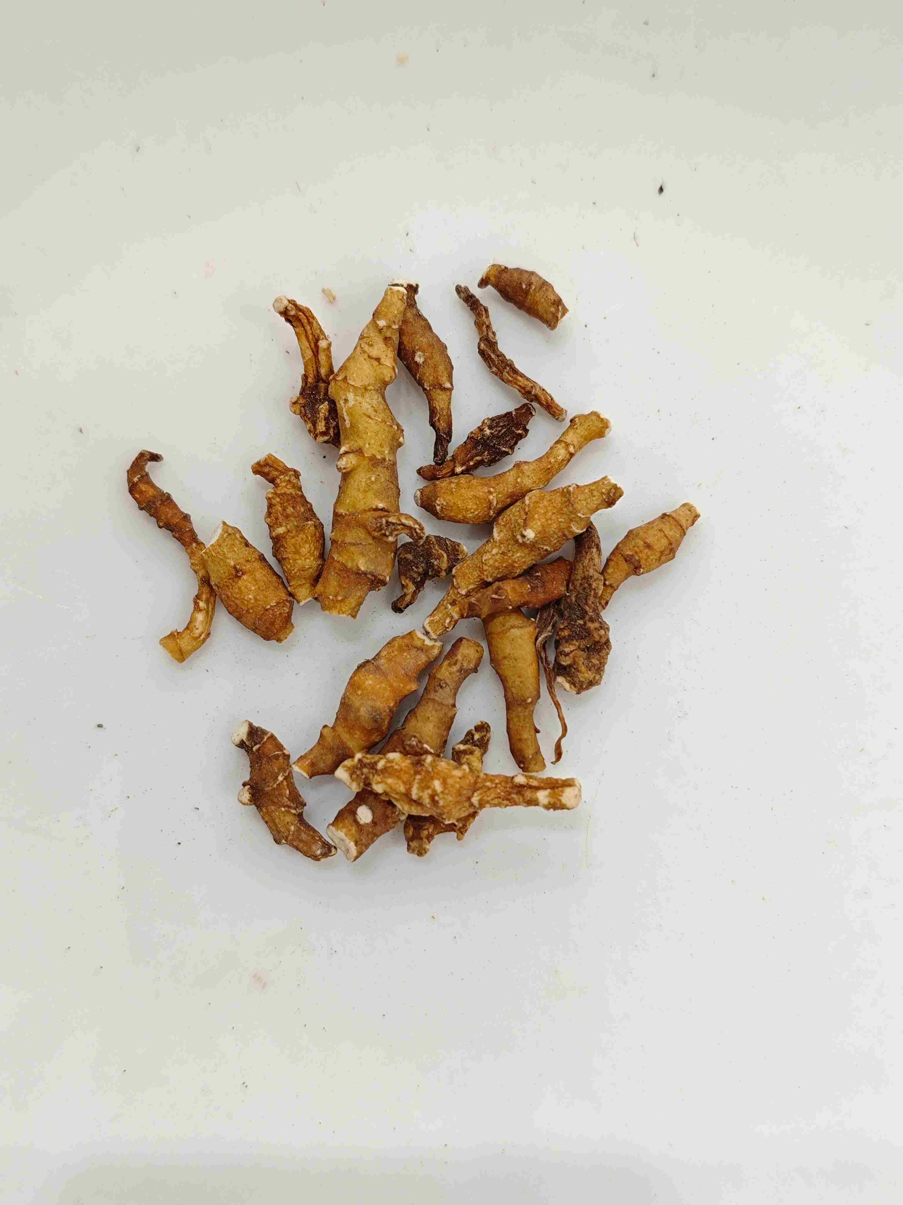 Calamus ، Jiechangpu