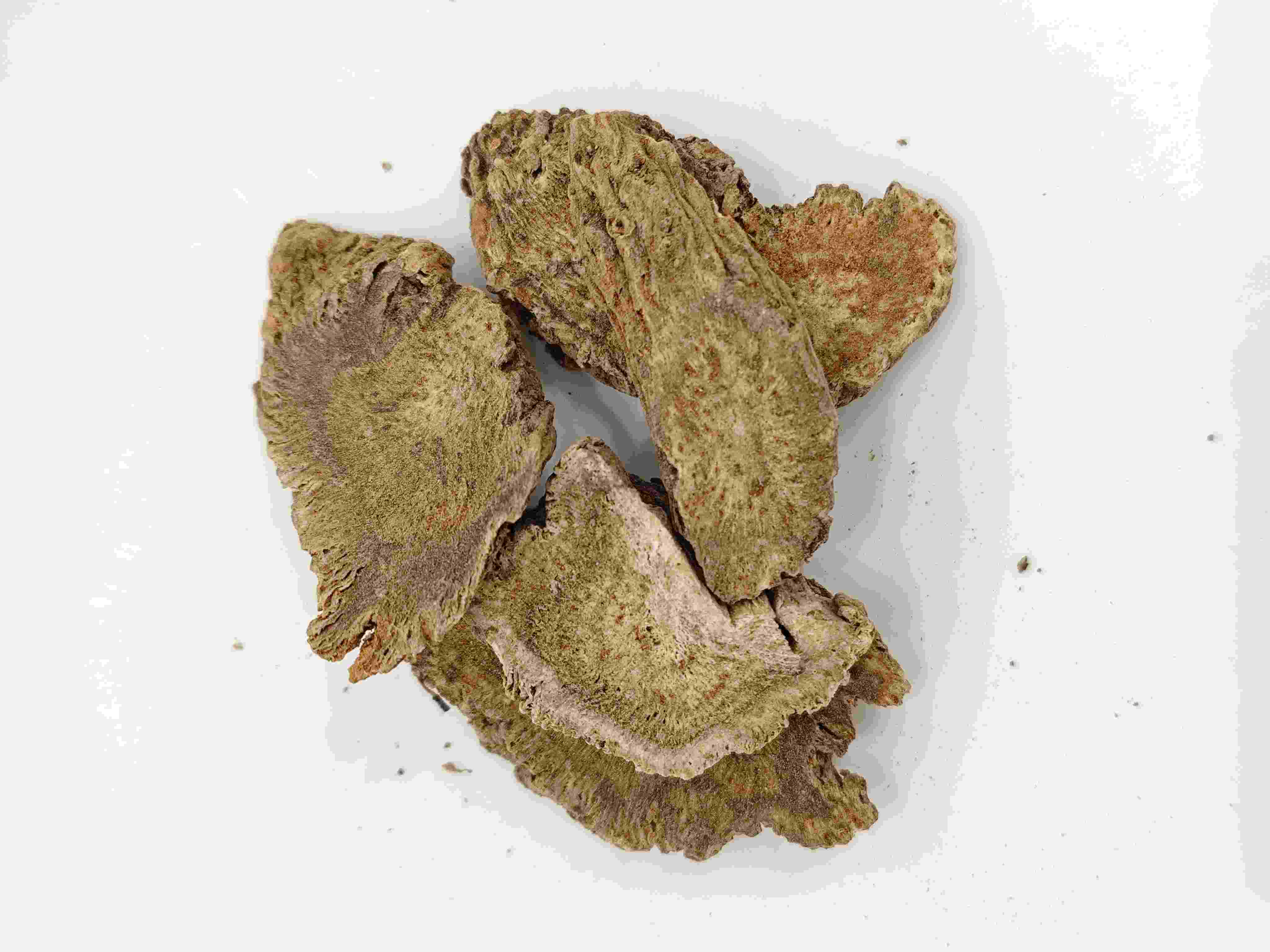 Costus Root ، Muxiang