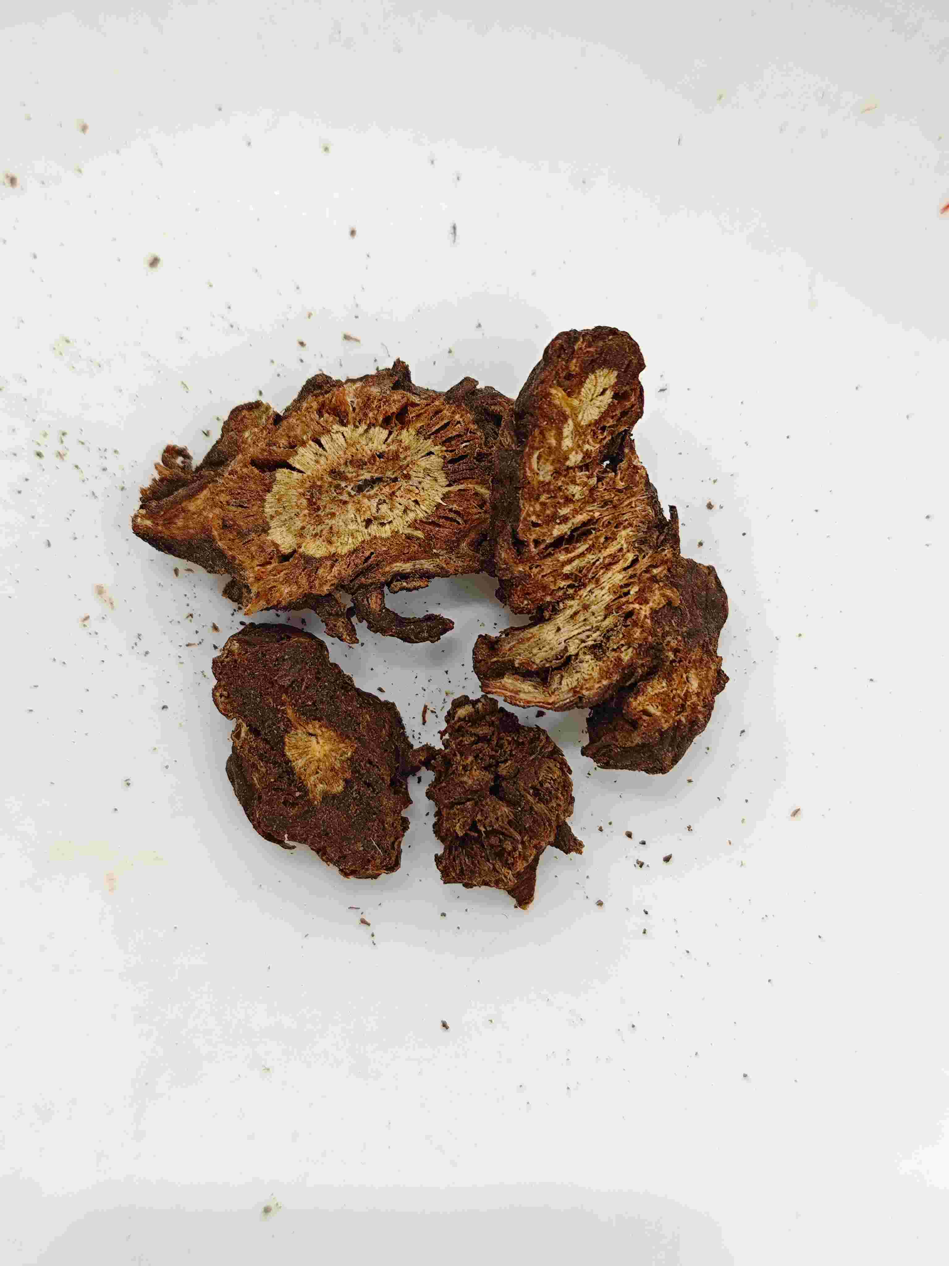 Notopterygium ، Qianghuo