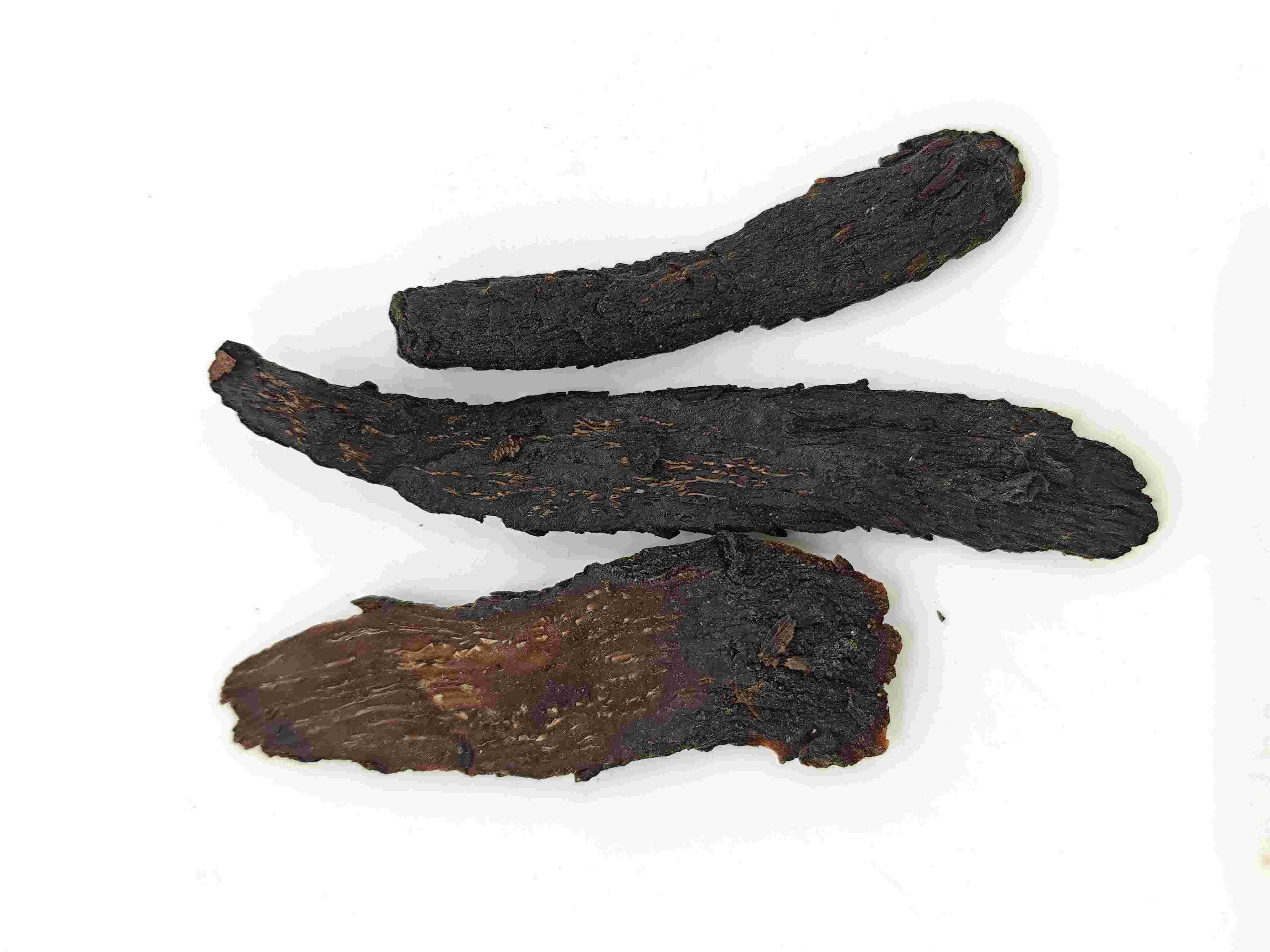 Cistanche ، Roucongrong