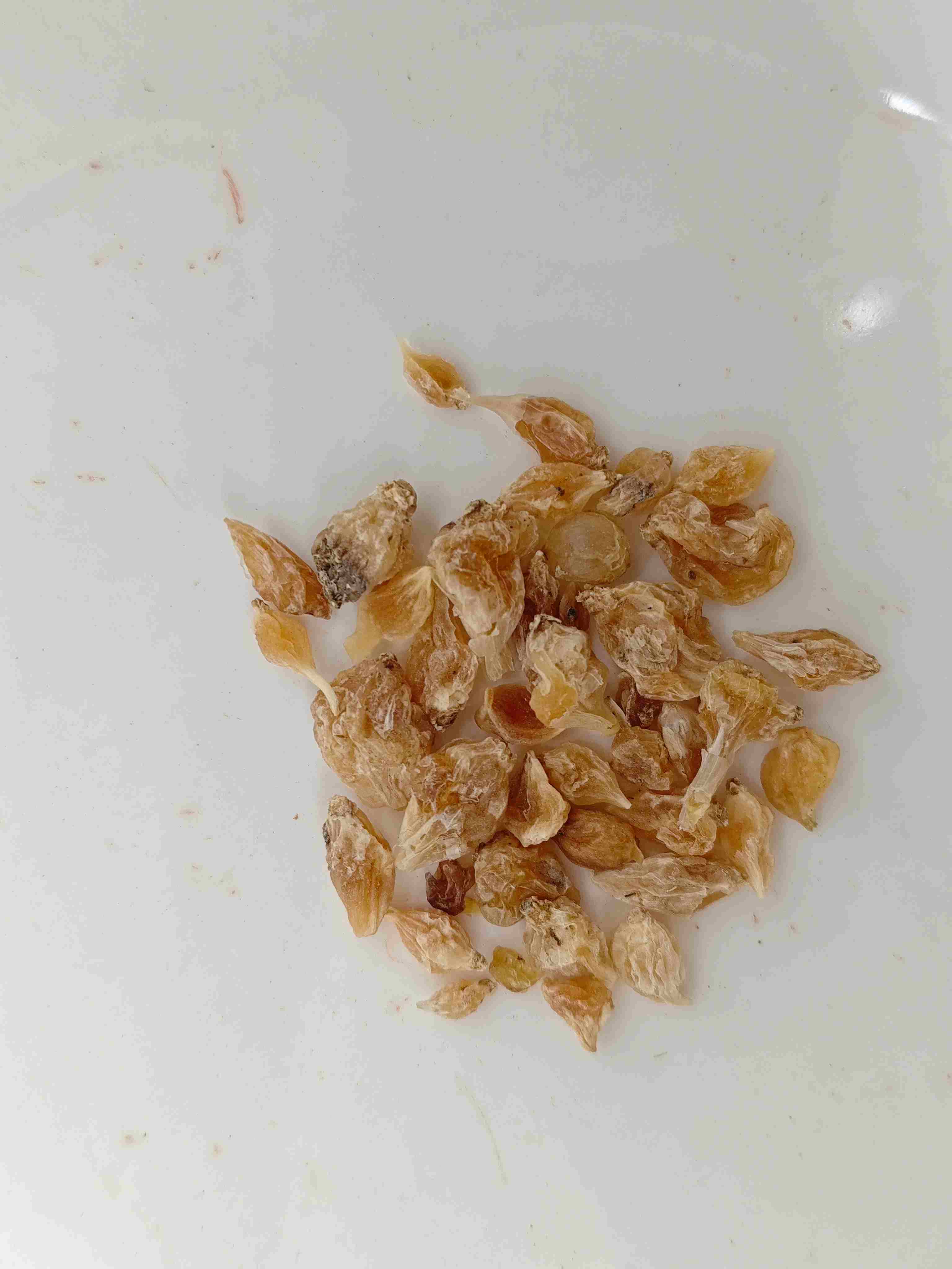 ألوم درنة (xiebai)