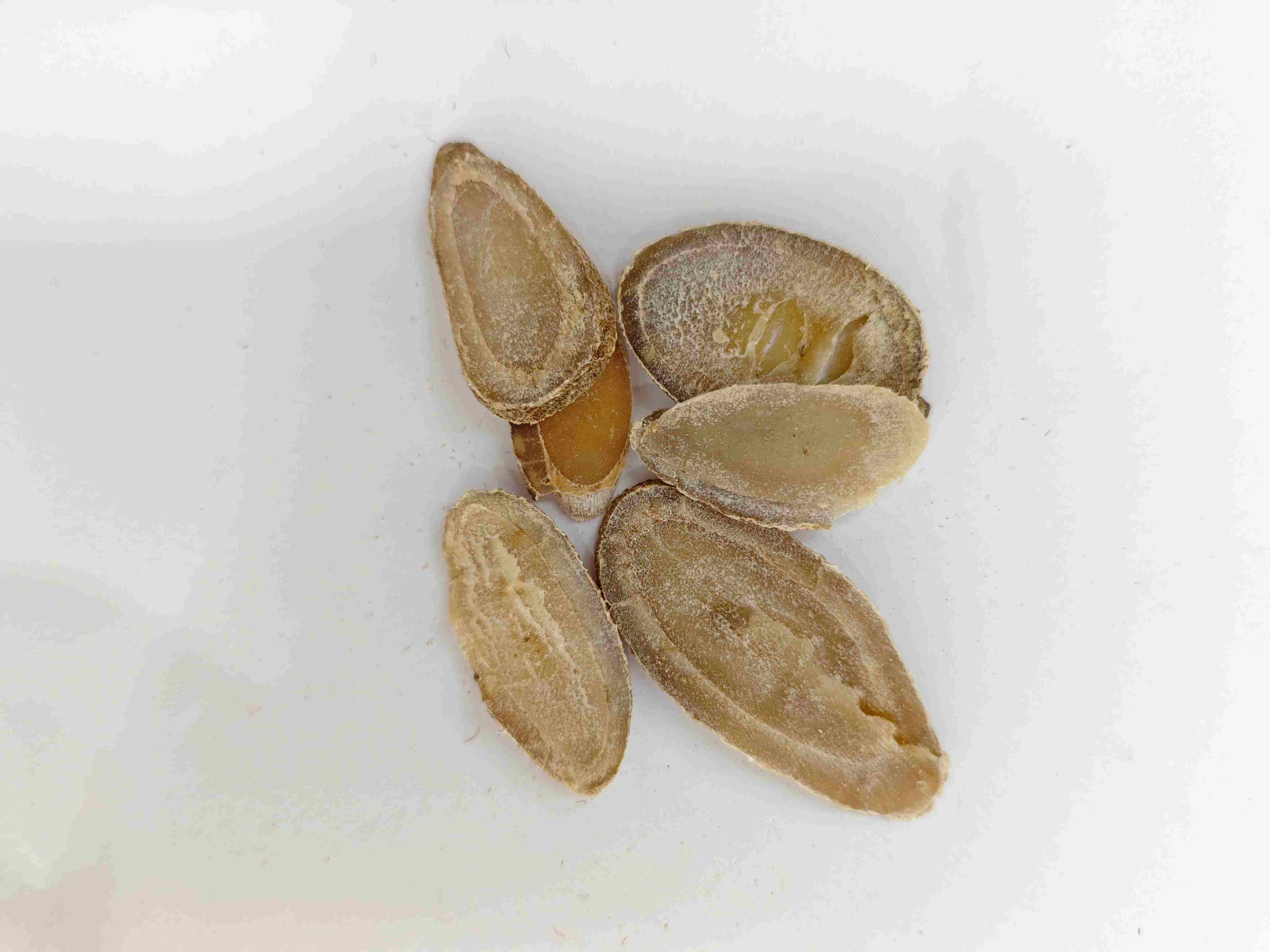 الكركم ريزوم (يوجين)