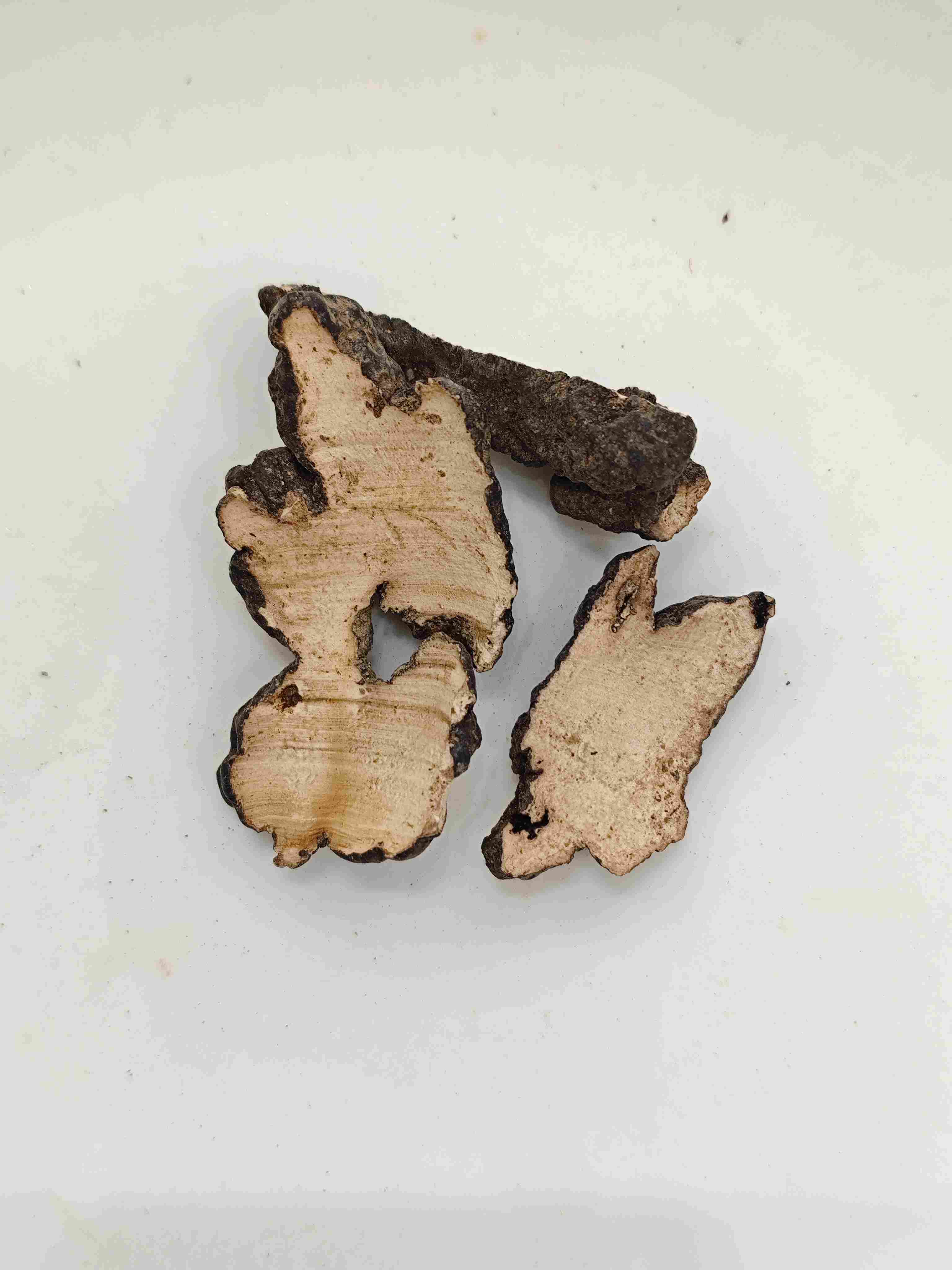 polyporus الخنازير (Zhuling)