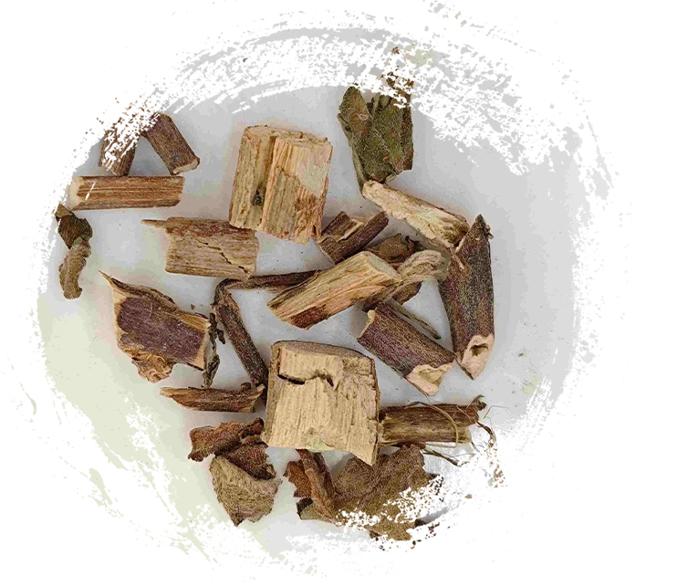 التجديف المتسول