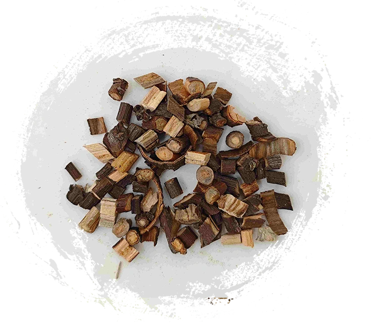 غصين القرفة