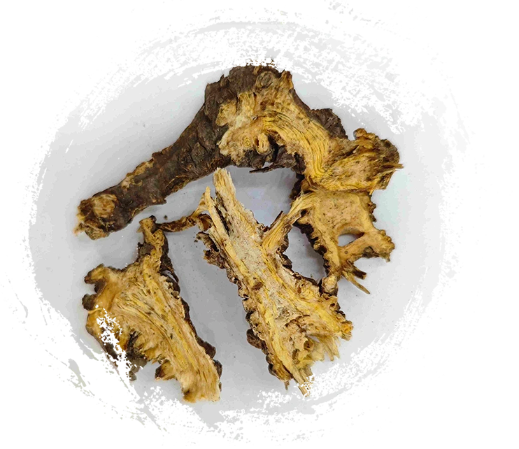 وورمود الصينية