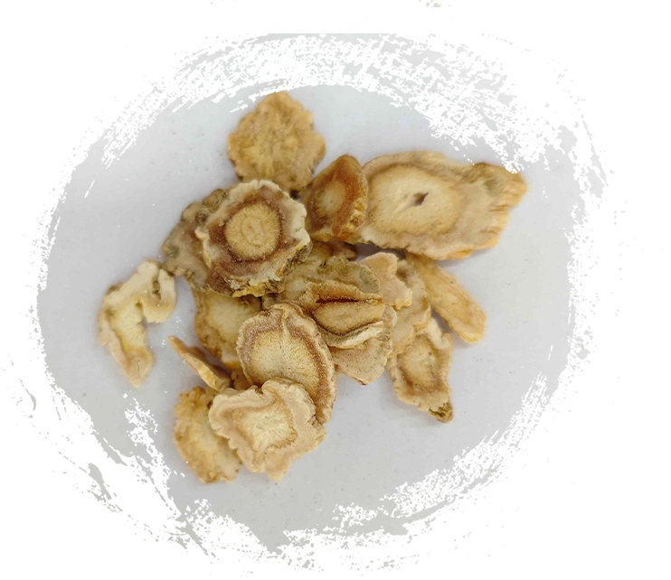 Platycodon ، Jiegeng