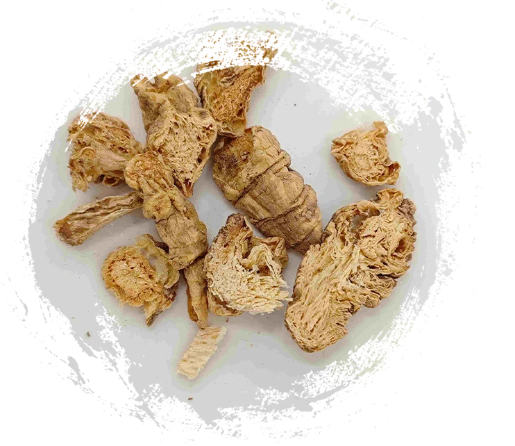 Codonopsis الجنوبي ، نان شا شين