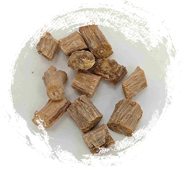 Achyranthes ، niuxi