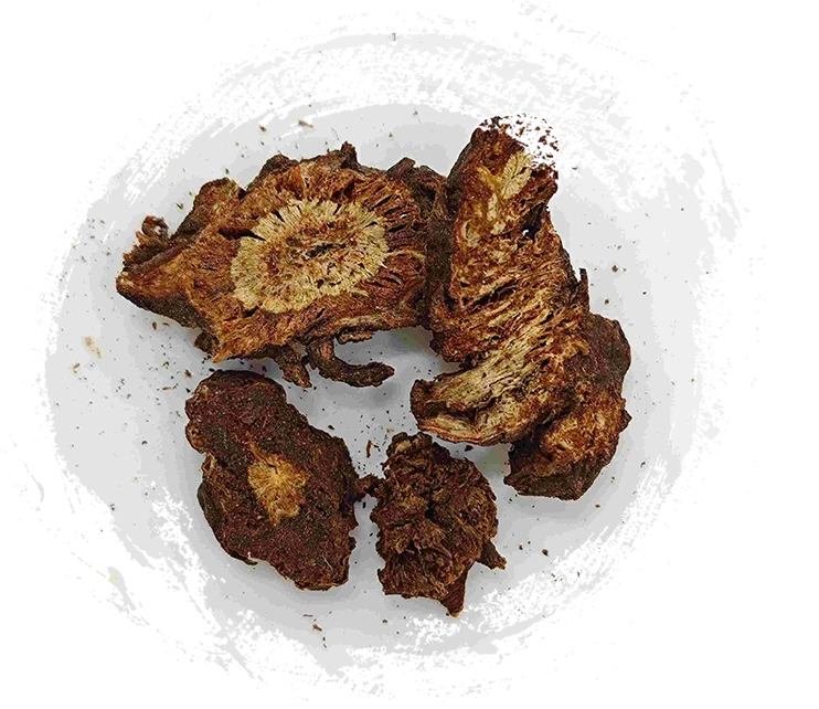 Notopterygium ، Qianghuo