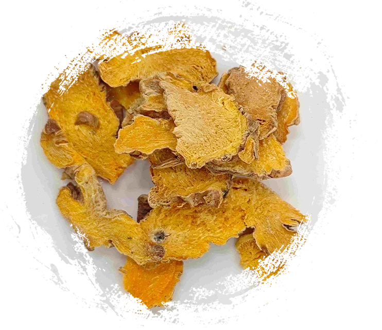 بيلامكاندا تشينينسيس (شيغان)