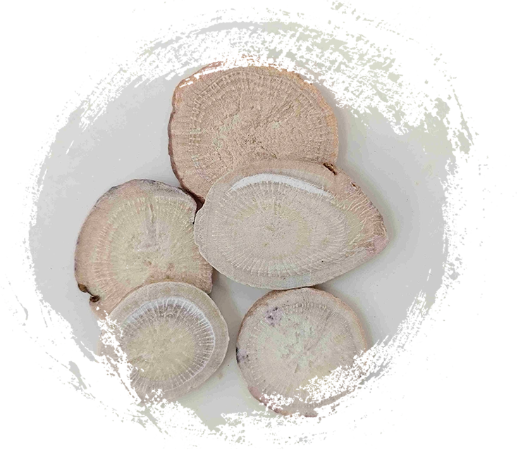 جذر الفاوانيا الأبيض (شنغ بايشاو)