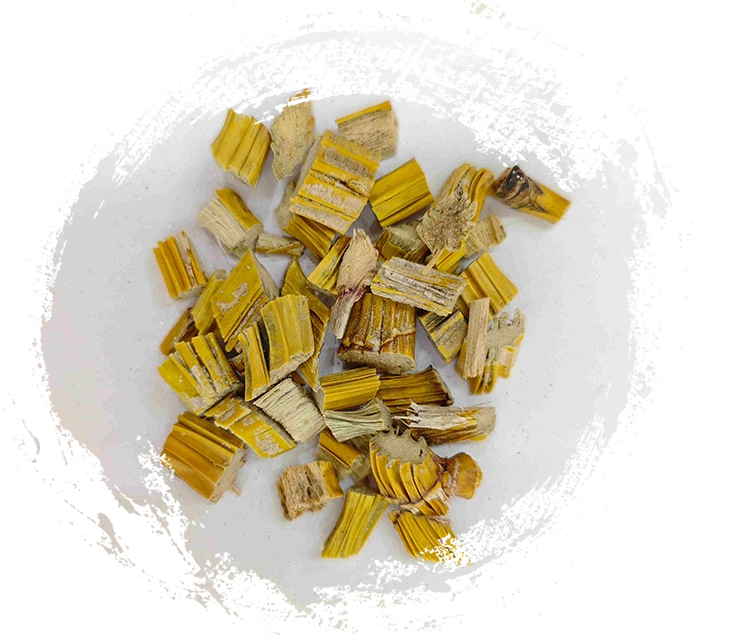 جذع dendrobium (shihu)