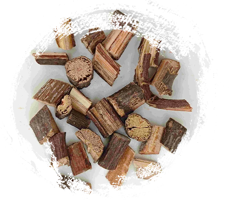 الجذعية متعددة كلورو) المضلعة (shouwuteng)