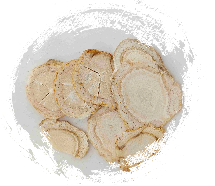 استكشاف قوة الطب الصيني التقليدي باستخدام النباتات