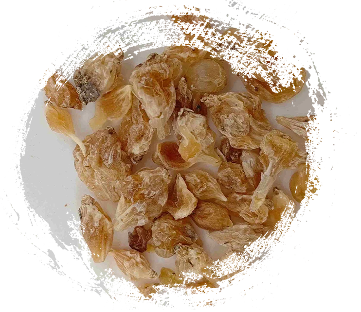 ألوم درنة (xiebai)