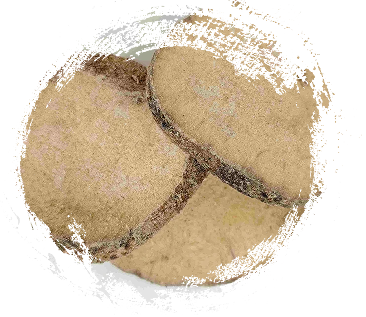 Rhizoma Alismatis (Zexie)