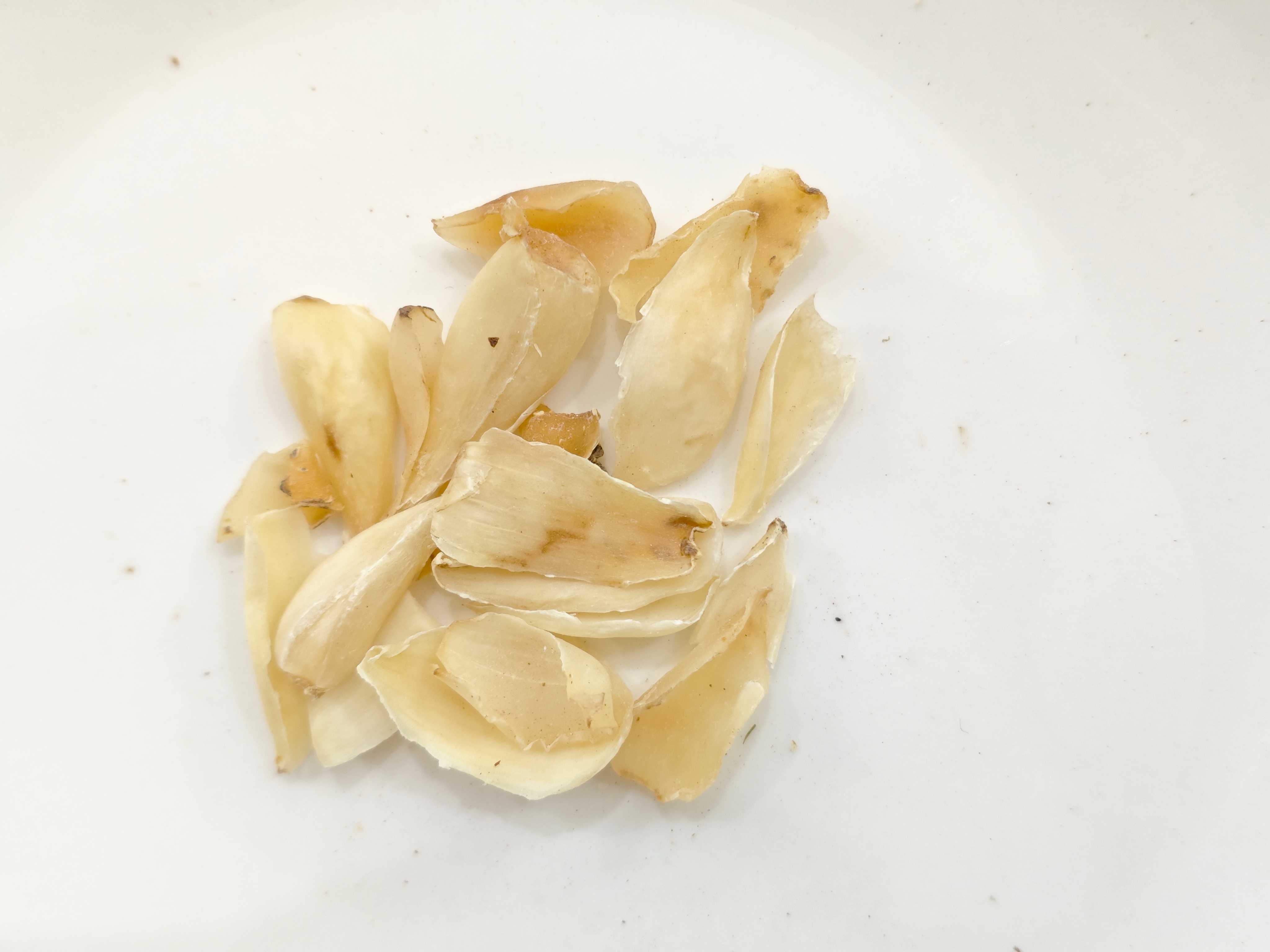 ليلي لمبة (بايه)